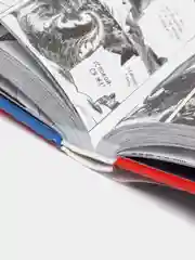 Моя геройская академия. Книга 5 / Манга / Комикс