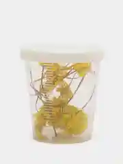 Желтый сухоцветы в контейнере