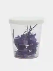 Фиолетовый сухоцветы в контейнере