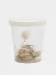Белый сухоцветы в контейнере