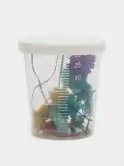 Прозрачный сухоцветы в контейнере