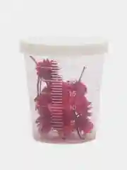 Розовый сухоцветы в контейнере