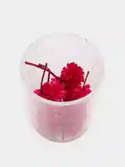 Розовый сухоцветы в контейнере
