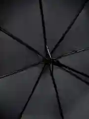 Черный зонт в чехле