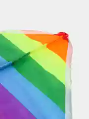 Воздушный змей, радужный, 60 х 120 см