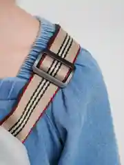 Серый поясная сумка