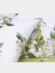 Лайм комплект постельного белья Cotton Nights "Music of the Night", хлопок