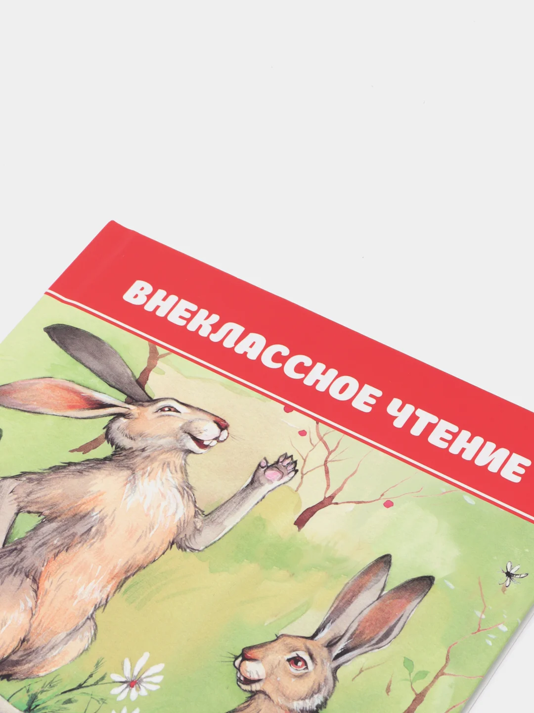 Зеленый книги для деток