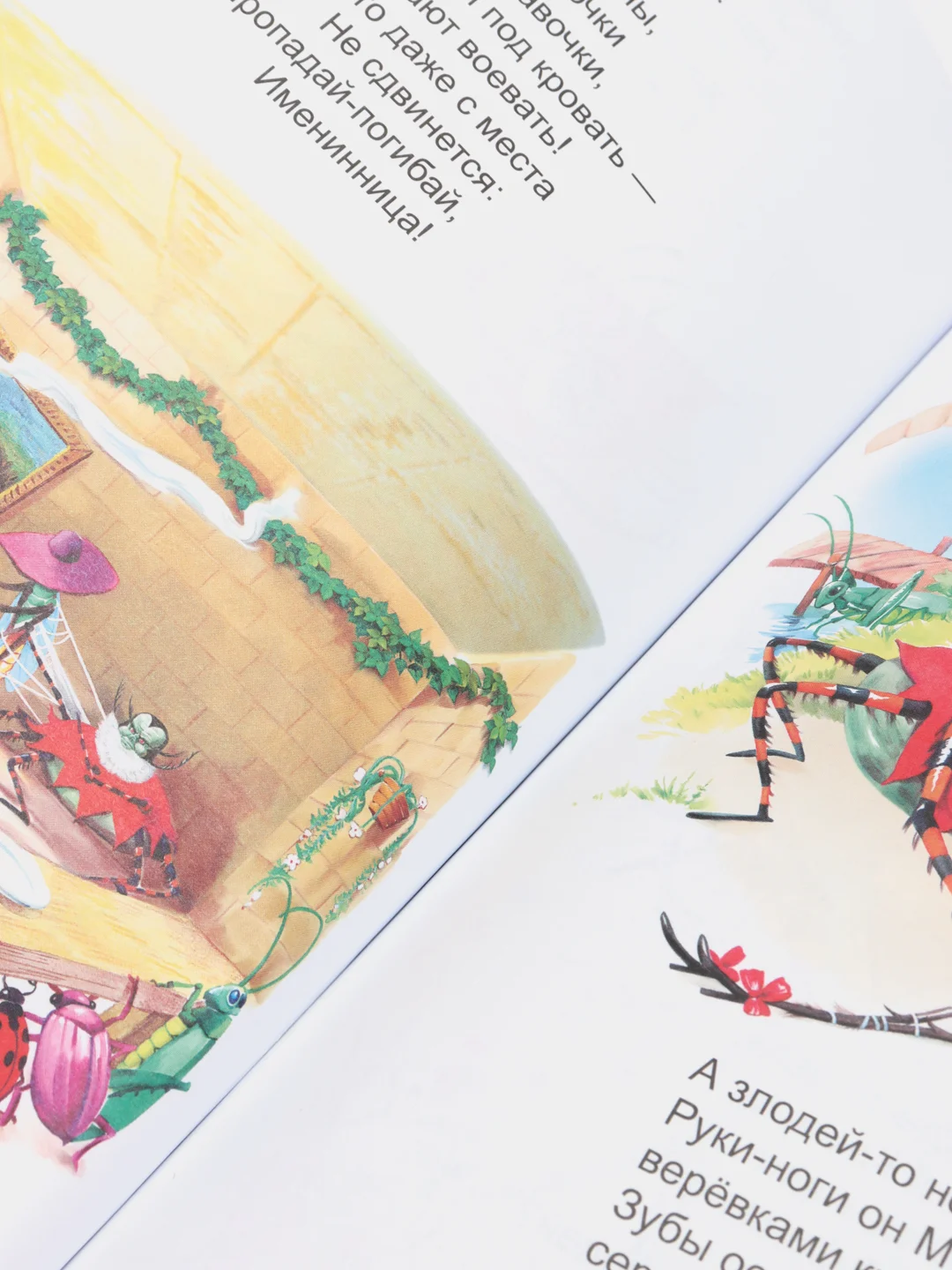 Лесной зеленый книги для деток