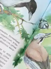 Коралловый меланж книги для деток