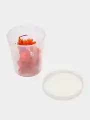 Лайм сухоцветы в контейнере