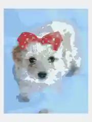 Картина  по номерам на холсте с подрамником 50x40 "Милка"