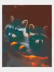 Картина по номерам "Еноты во тьме", на холсте, с подрамником, 50 x 40