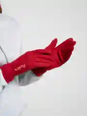 Красный перчатки сенсорные, теплые