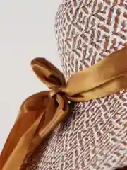 Бронзовый шляпа женская летняя