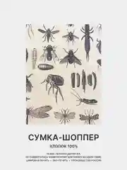 Бежевый меланж сумка-шоппер, авоська, экосумка "ГРАФИКА", 100% хлопок, разные принты