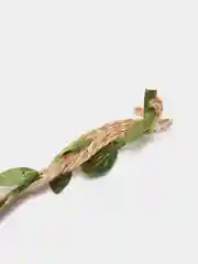 Тесьма из мешковины с зелеными листочками, 1,5 см х 1 м