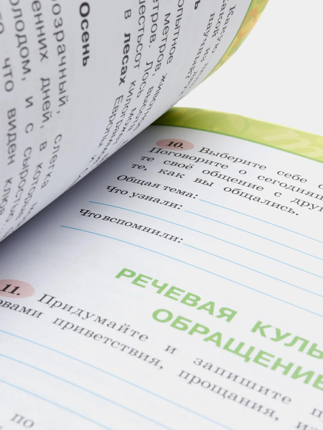 Русский язык, Рабочая тетрадь 4 класс, в двух частях, Климанова, Бабушкина
