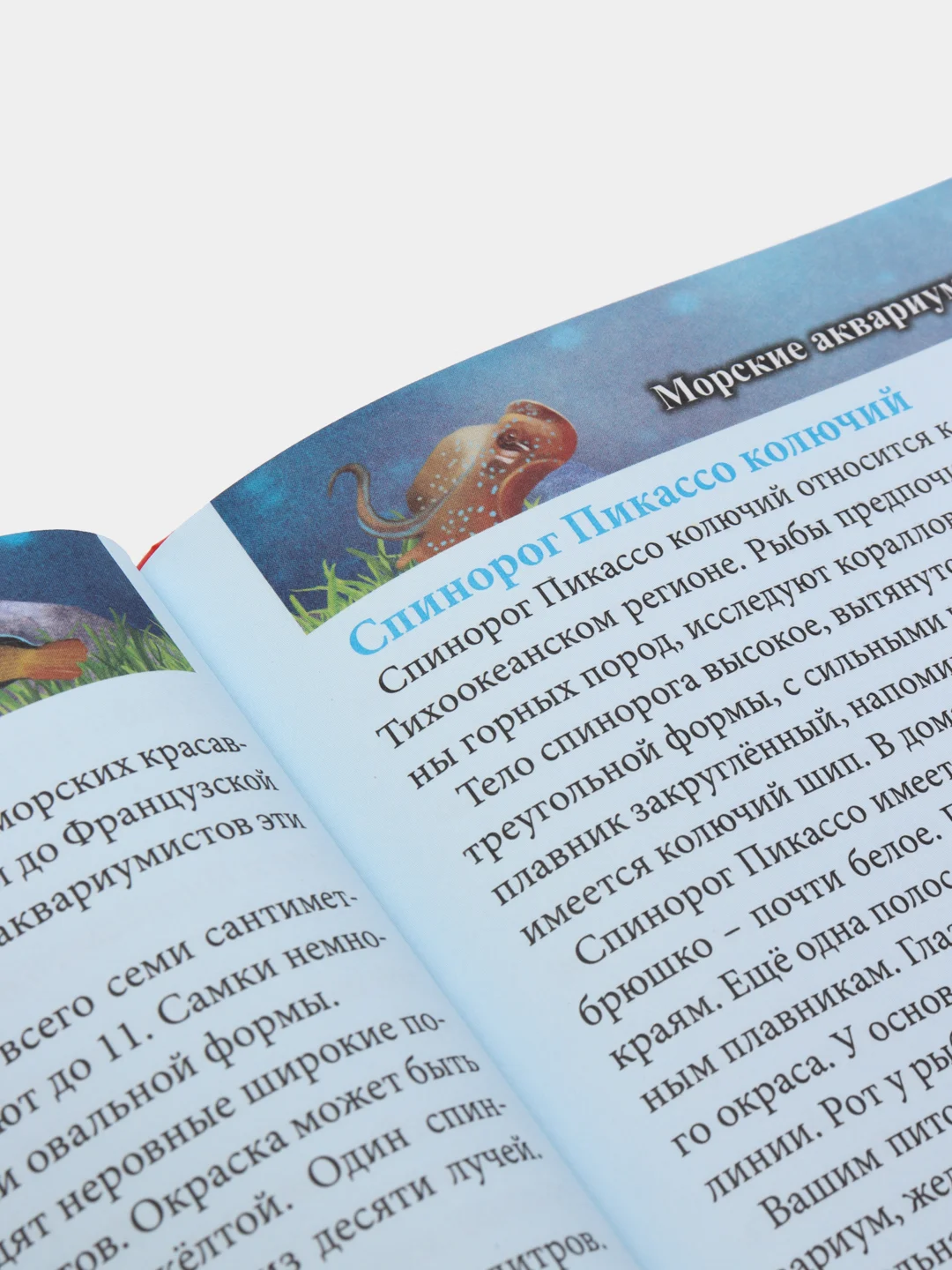 Багровый детская энциклопедия "Хочу всё знать"