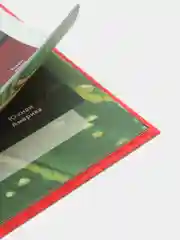 Аметистовый детская энциклопедия "Хочу всё знать"