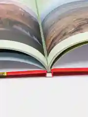Зелёный хаки детская энциклопедия "Хочу всё знать"