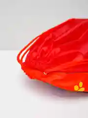 Багровый мешок для обуви (Холодное сердце, человек-паук, тачки, бамблби, минни маус, пони)