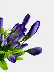 Искусственные цветы. Крокусы ( букет). Высота: 38 см. D цветка: 5*1,5 см