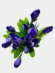 Искусственные цветы. Крокусы ( букет). Высота: 38 см. D цветка: 5*1,5 см