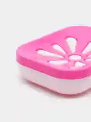 Фуксия мыльница Восход радужный