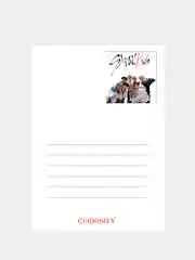 Набор фотографий в крафт конверте с принтом, группы Stray Kids