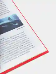 Бордовый детская энциклопедия "Хочу всё знать"