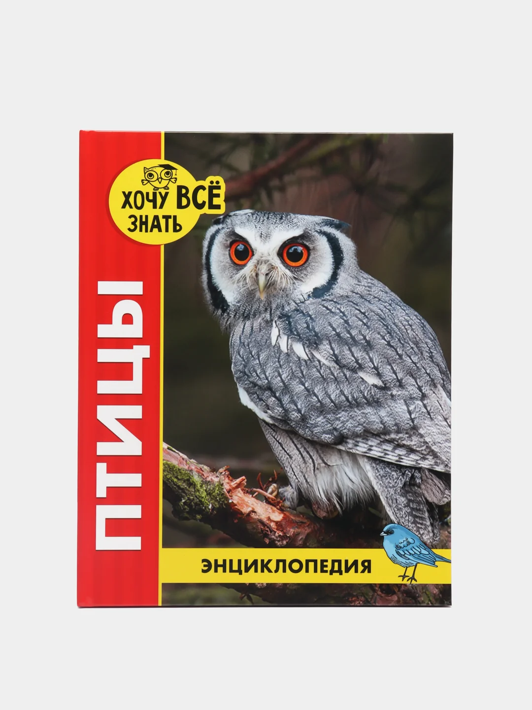 Зеленый детская энциклопедия "Хочу всё знать"