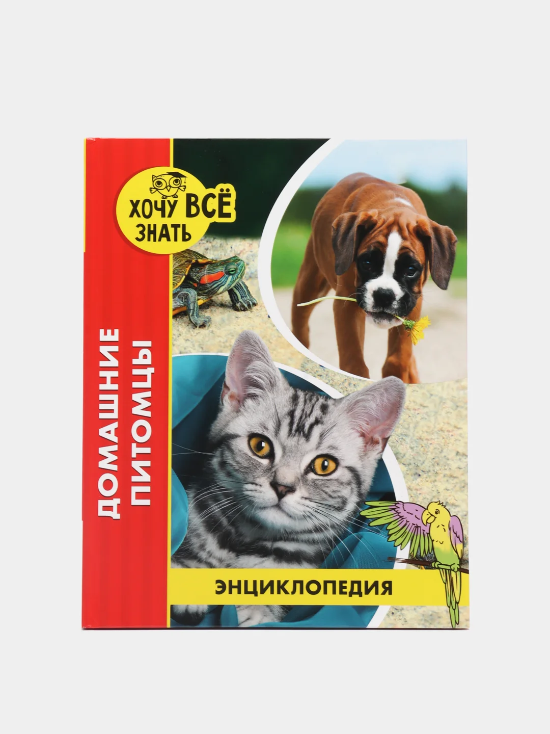 Золотистый хаки детская энциклопедия "Хочу всё знать"