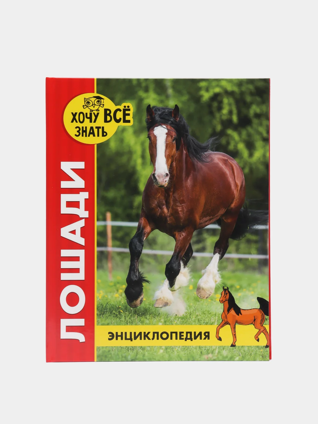 Белый детская энциклопедия "Хочу всё знать"