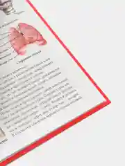 Карамельный детская энциклопедия "Хочу всё знать"