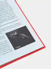 Кремовый детская энциклопедия "Хочу всё знать"
