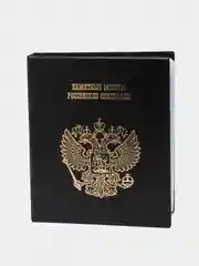 Черный альбом для монет и бакнот России. ПВХ