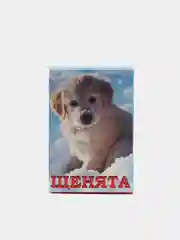 Карты игральные, Таро, Пасьянсные, сувенирные