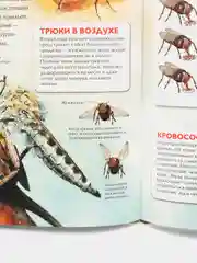 Бежевый меланж детская энциклопедия
