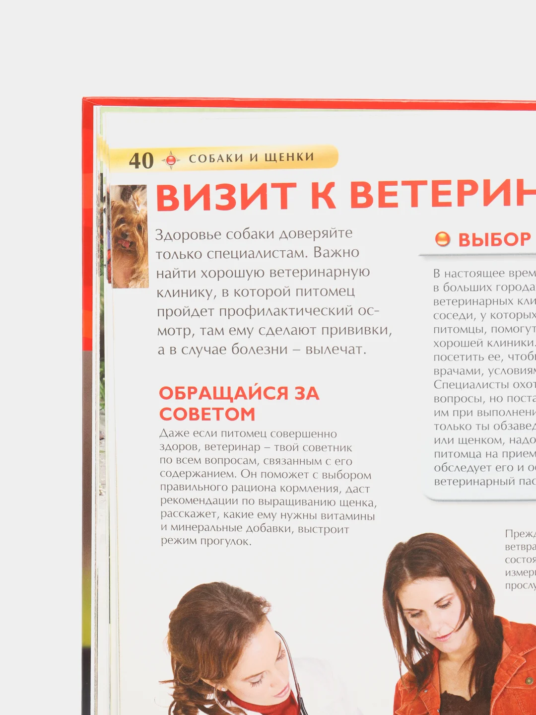 Конфетный детская энциклопедия