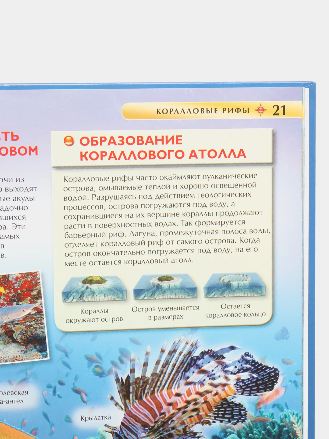 Бирюзовый детская энциклопедия