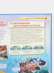 Бирюзовый детская энциклопедия