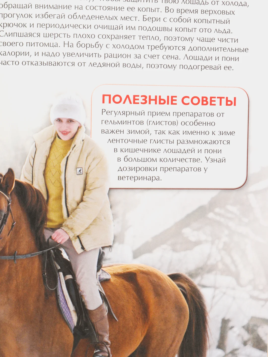 Красный детская энциклопедия