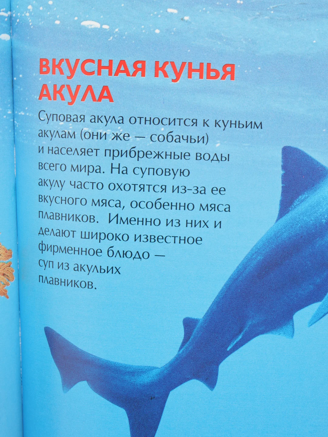 Горчичный детская энциклопедия