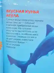 Горчичный детская энциклопедия