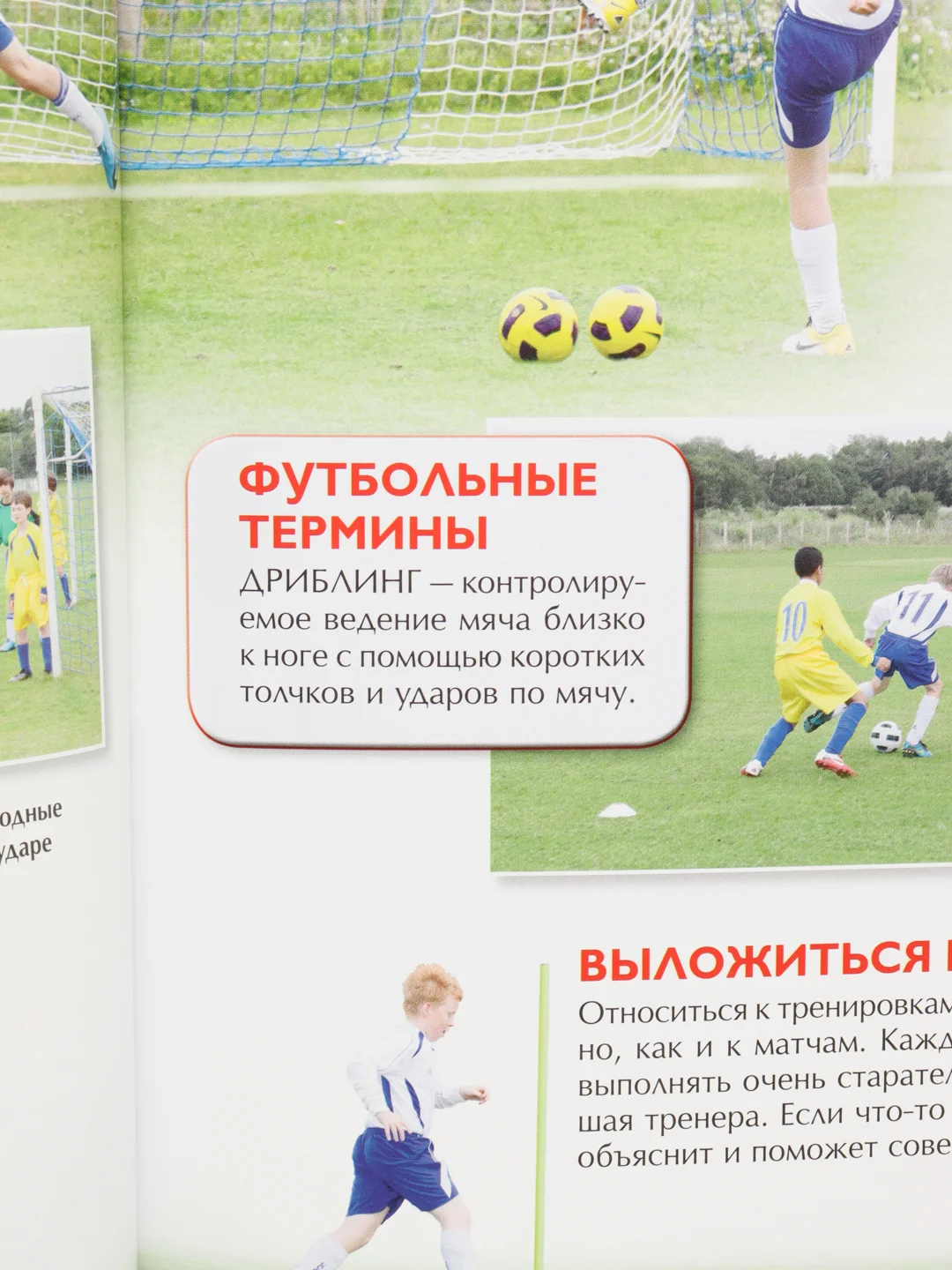 Желтый детская энциклопедия