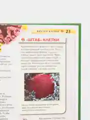 Багровый детская энциклопедия