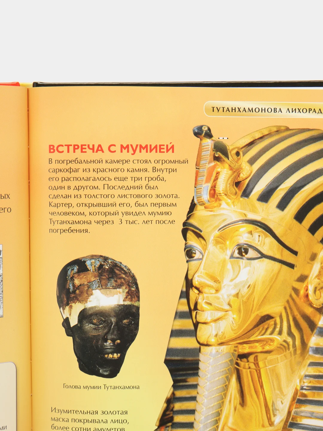 Кораллово-розовый детская энциклопедия