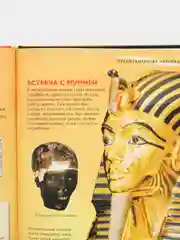 Кораллово-розовый детская энциклопедия