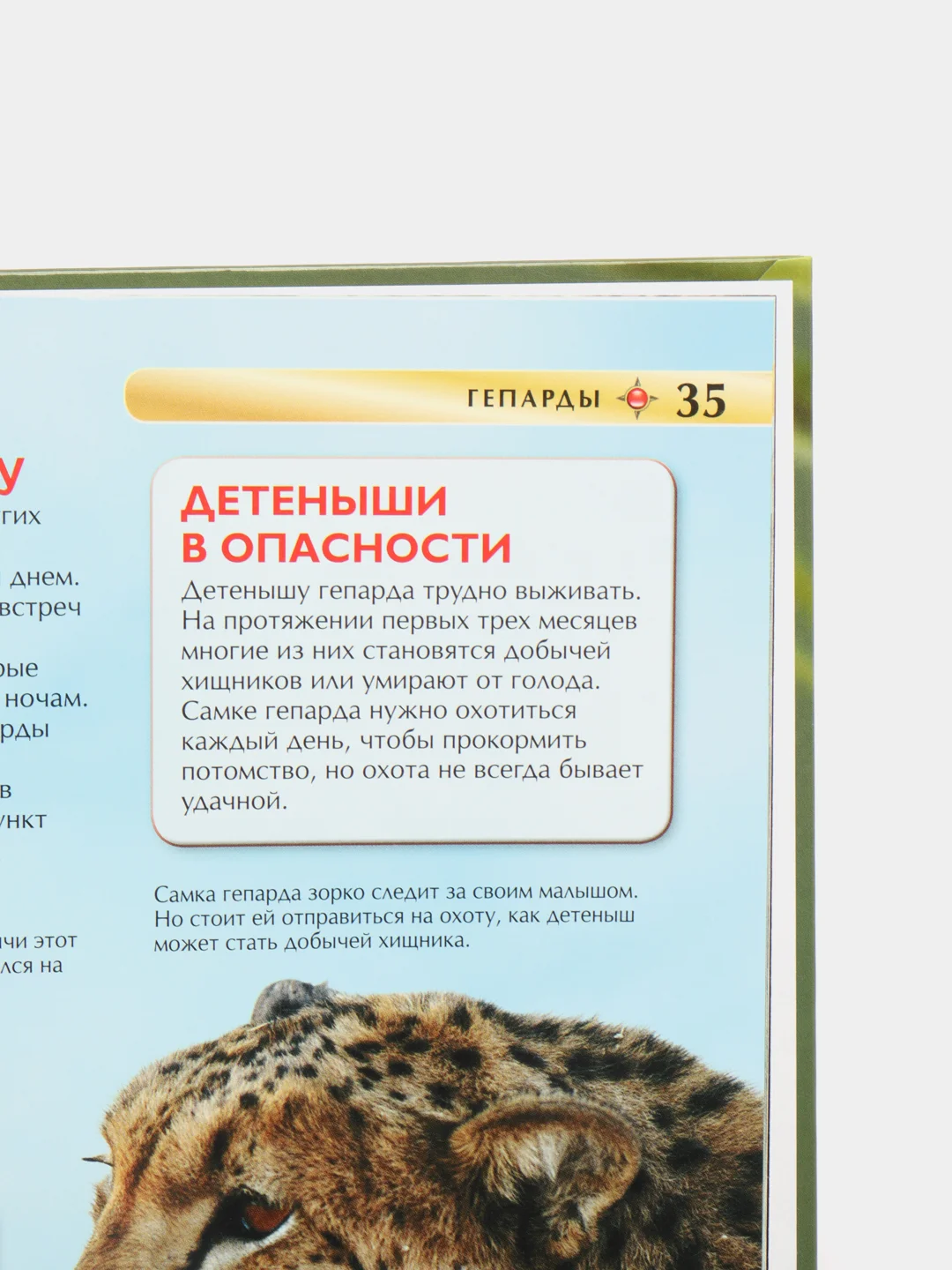 Индиго детская энциклопедия